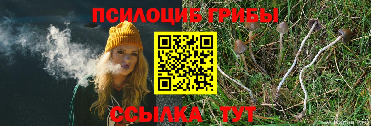 Муром  Галлюциногенные грибы ЛСД  Вход с VPN  Псилоцибиновые грибы Psilocybine cubensis 